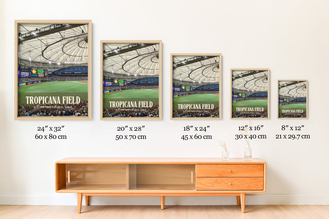 Tropicana Field Stadium Baseball Wall Art