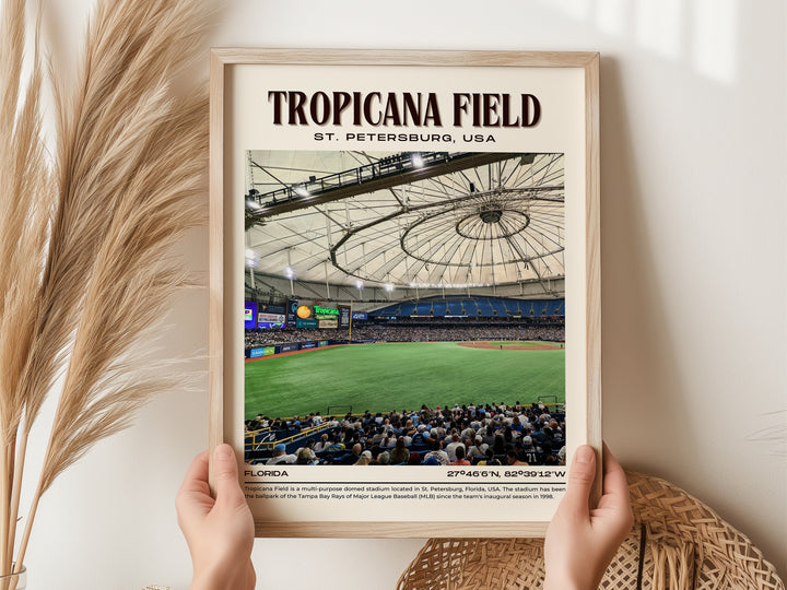 Tropicana Field Stadium Baseball Retro Wall Art