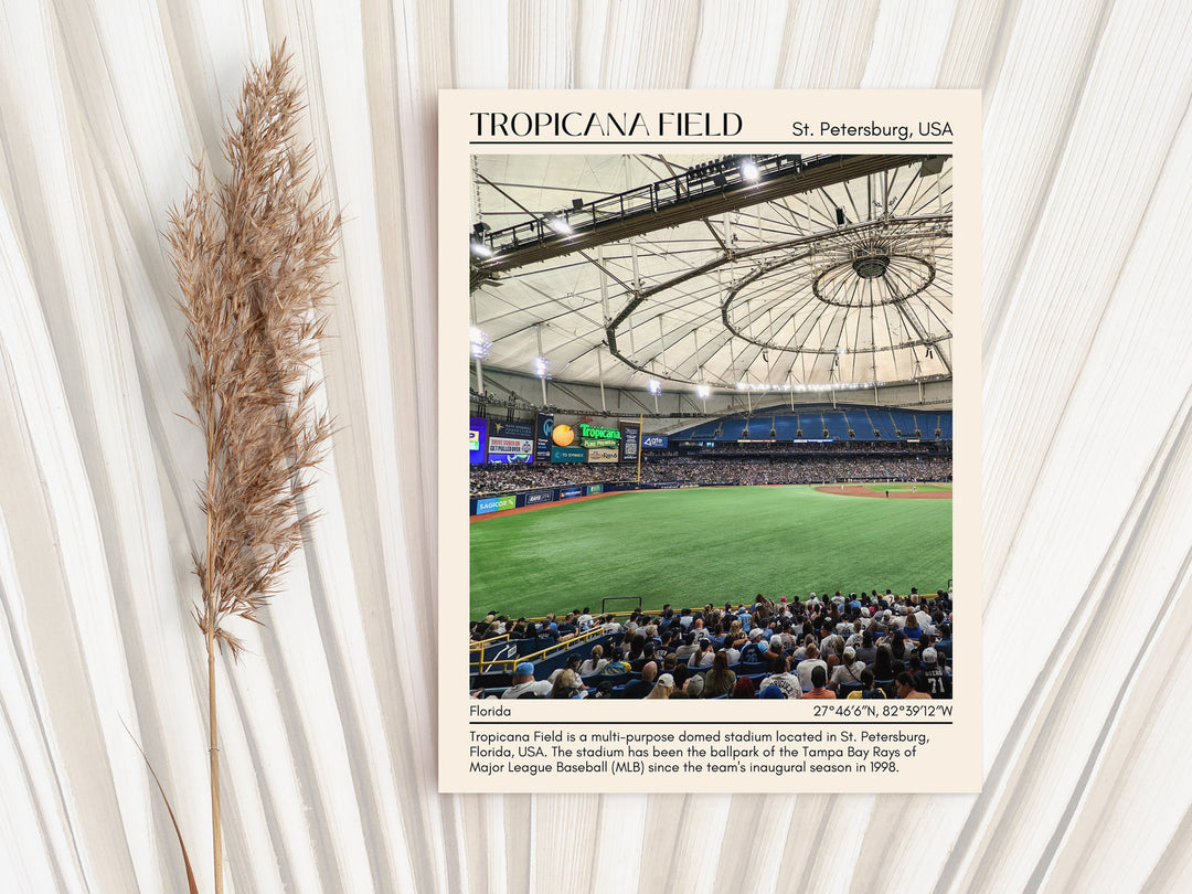 Tropicana Field Stadium Baseball Minimal Wall Art