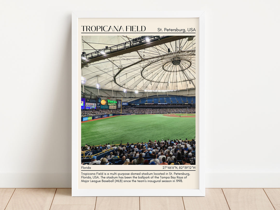 Tropicana Field Stadium Baseball Minimal Wall Art