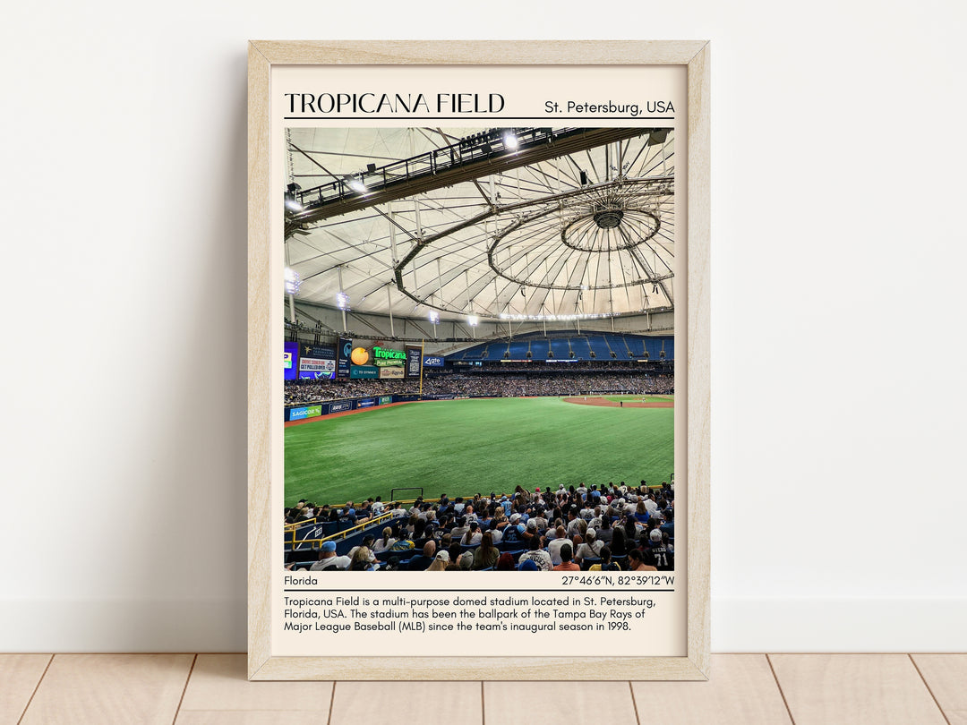 Tropicana Field Stadium Baseball Minimal Wall Art