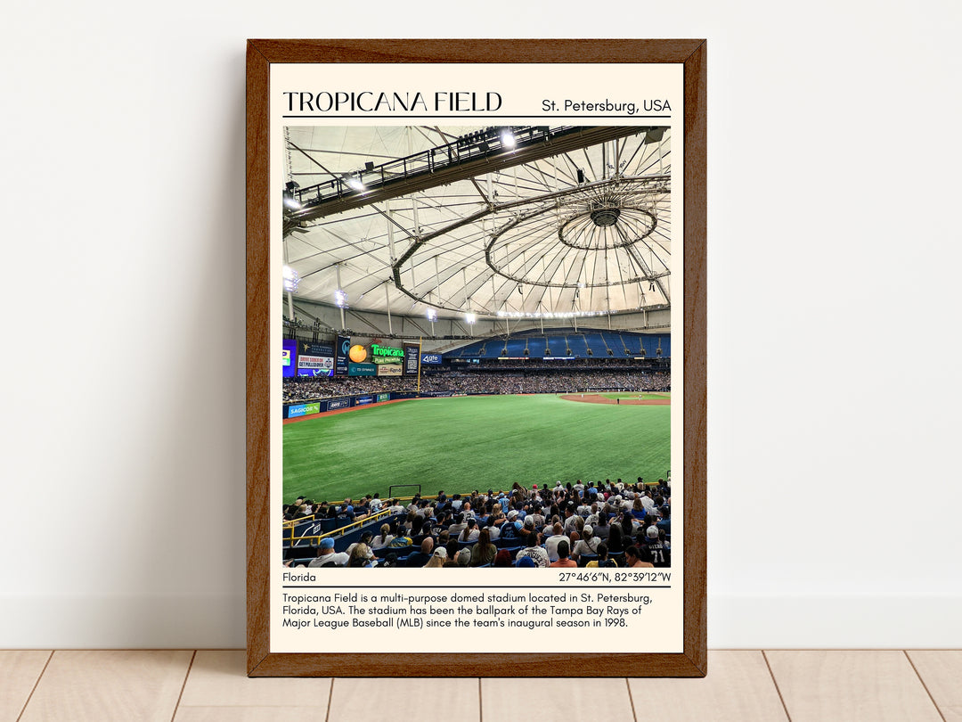 Tropicana Field Stadium Baseball Minimal Wall Art