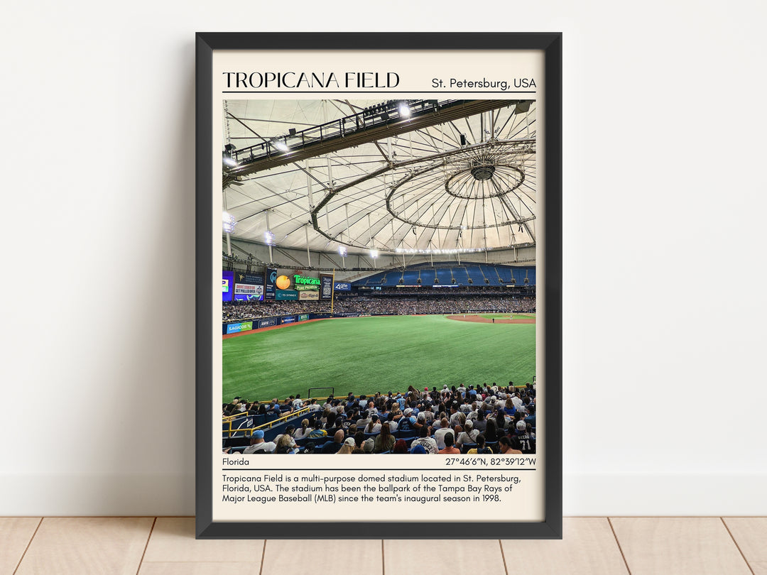 Tropicana Field Stadium Baseball Minimal Wall Art