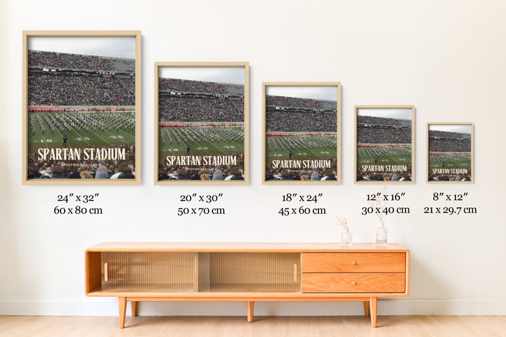 Spartan Stadium Football Wall Art