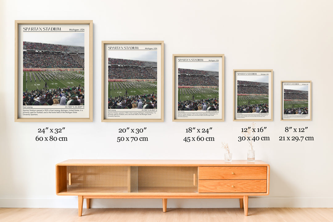 Spartan Stadium Football Minimal Wall Art