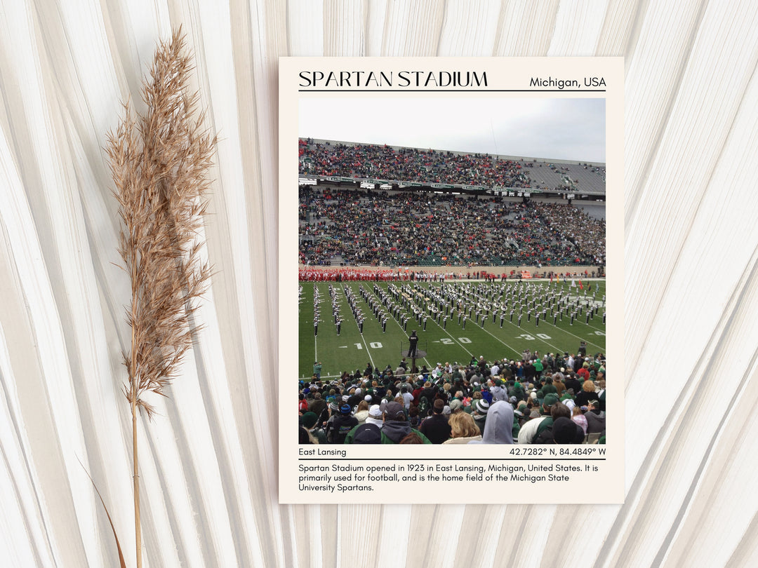 Spartan Stadium Football Minimal Wall Art