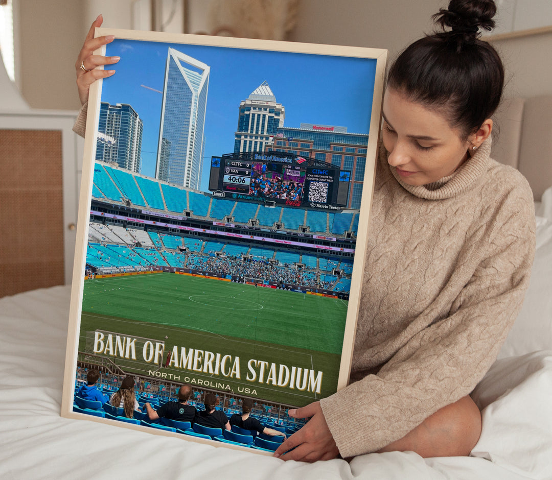 Bank of America Stadium Football Wall Art