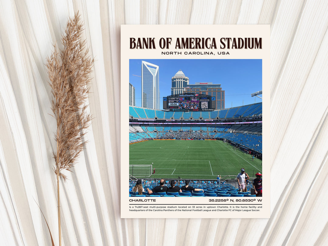 Bank of America Stadium Football Retro Wall Art