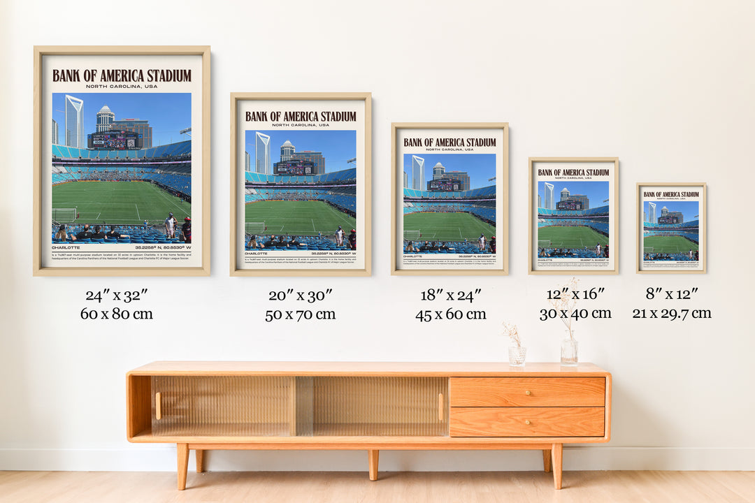 Bank of America Stadium Football Retro Wall Art