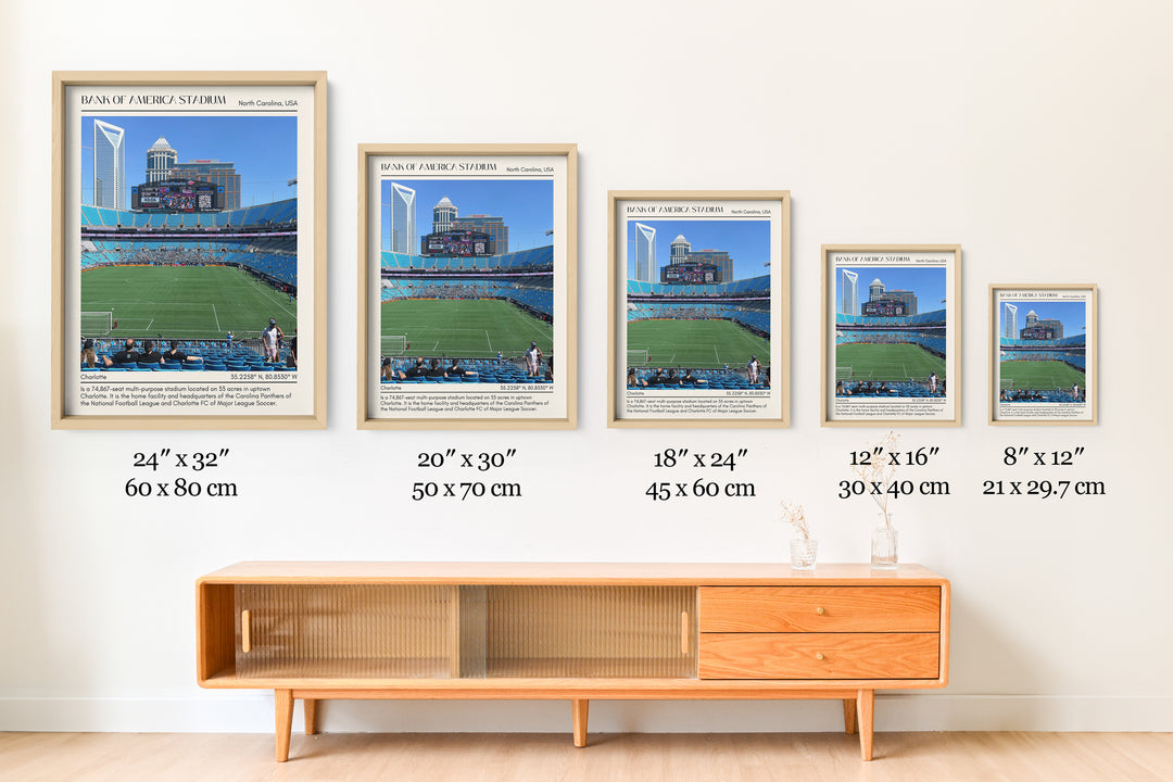 Bank of America Stadium Football Minimal Wall Art