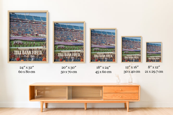 TIAA Bank Field Stadium Football Wall Art