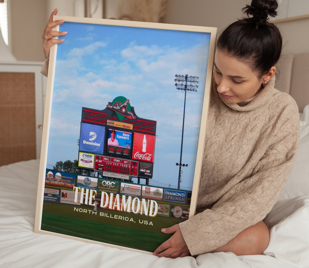 The Diamond Stadium Baseball Wall Art