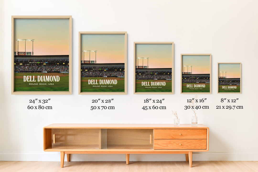 Dell Diamond Stadium Baseball Wall Art