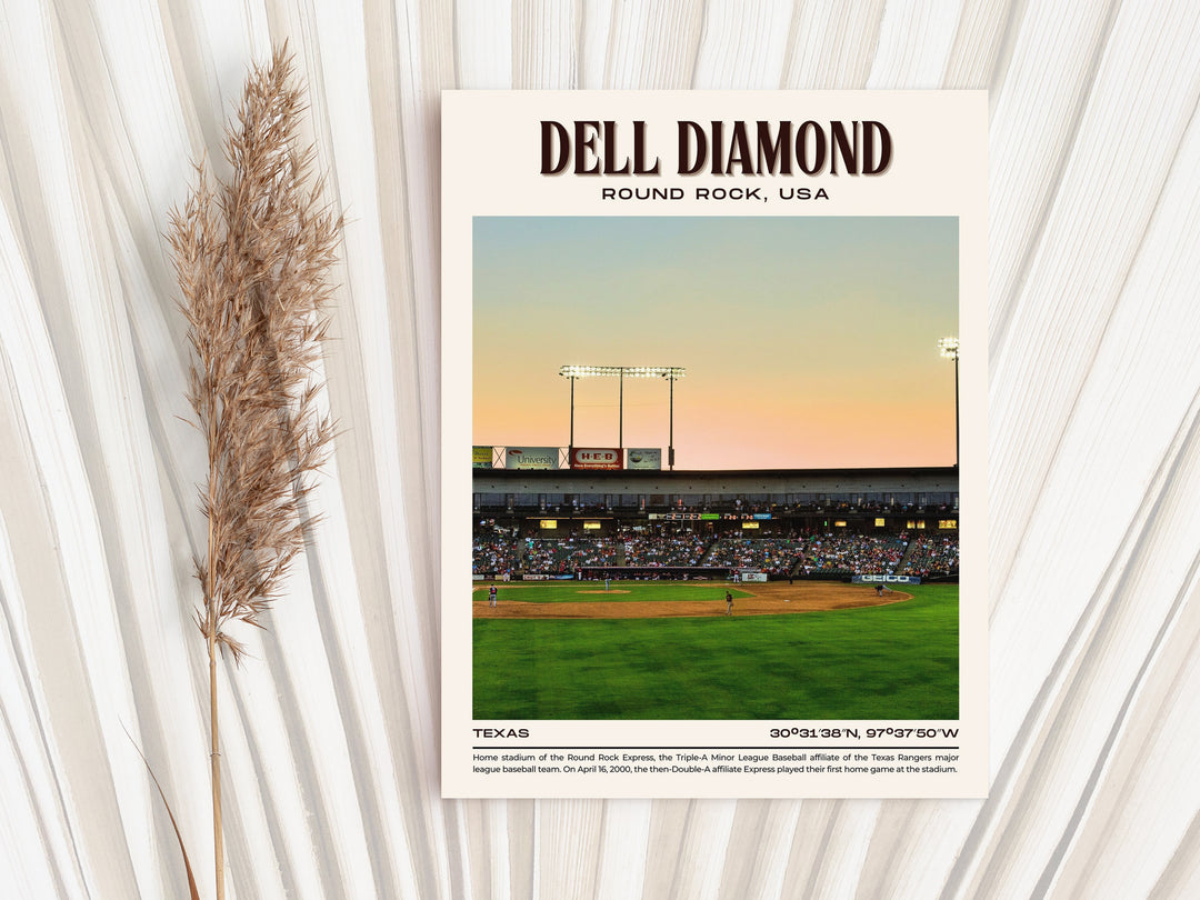 Dell Diamond Stadium Baseball Retro Wall Art