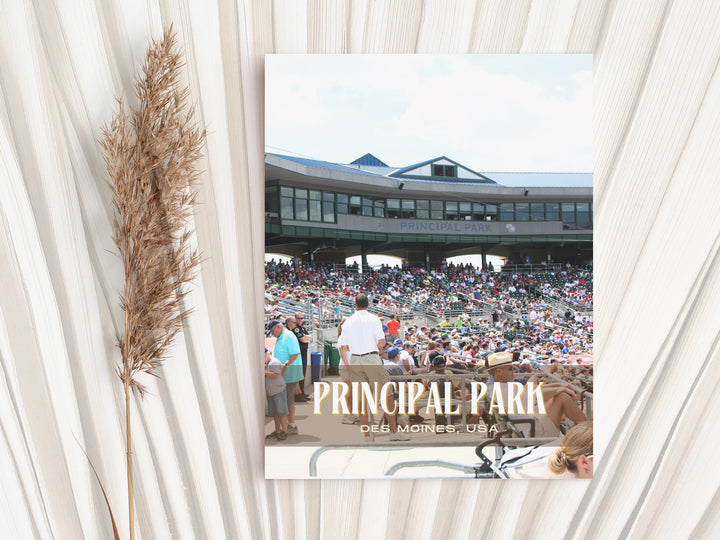 Principal Park Stadium Baseball Wall Art