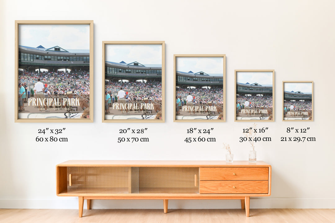 Principal Park Stadium Baseball Wall Art