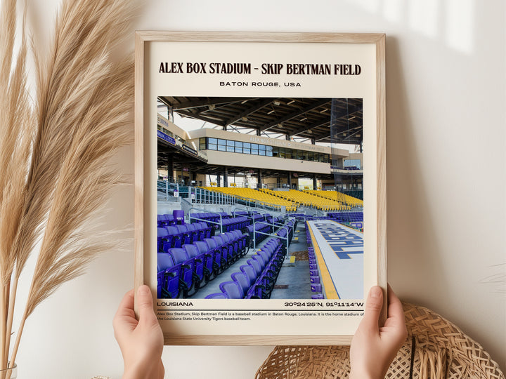 Alex Box Stadium - Skip Bertman Field Baseball Retro Wall Art