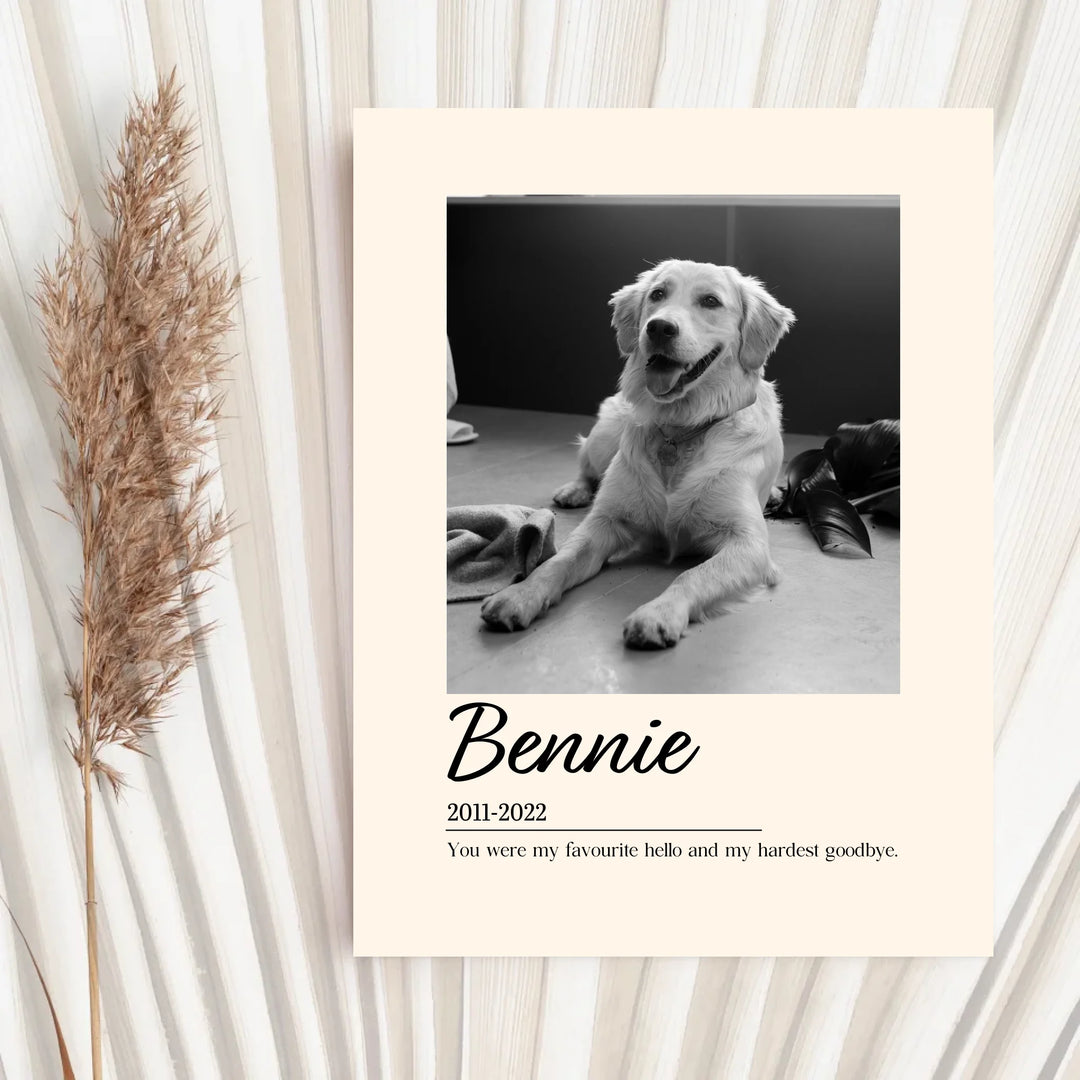 Unframed Poster