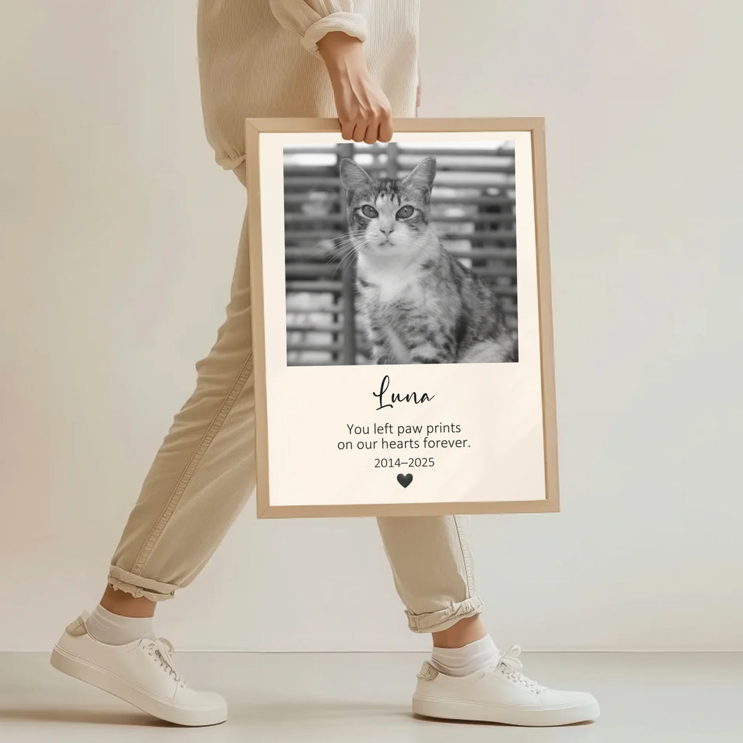 JY Creative 4