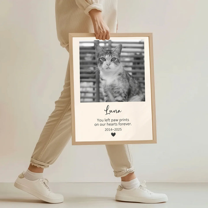 JY Creative 4