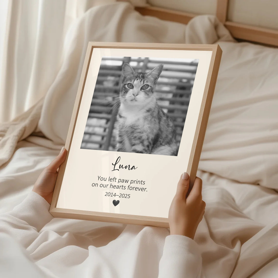 JY Creative 5