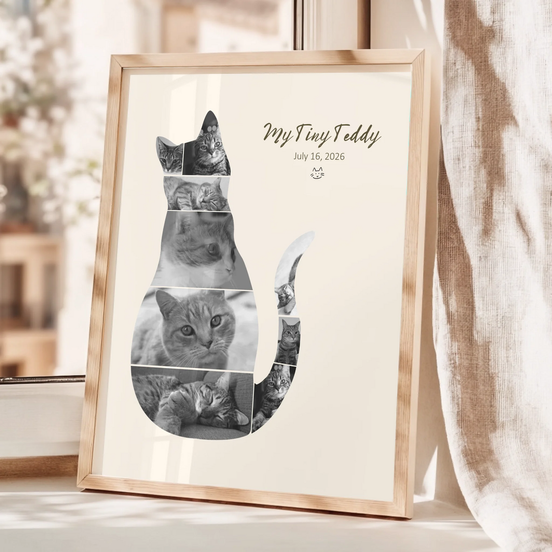 NEW PSD 1 copy