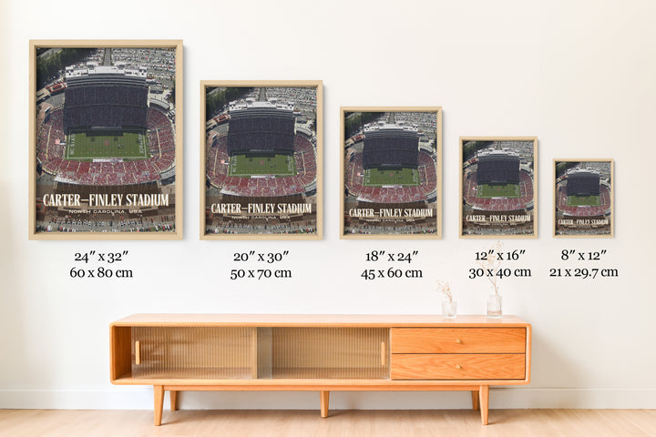 Carter–Finley Stadium Football Wall Art