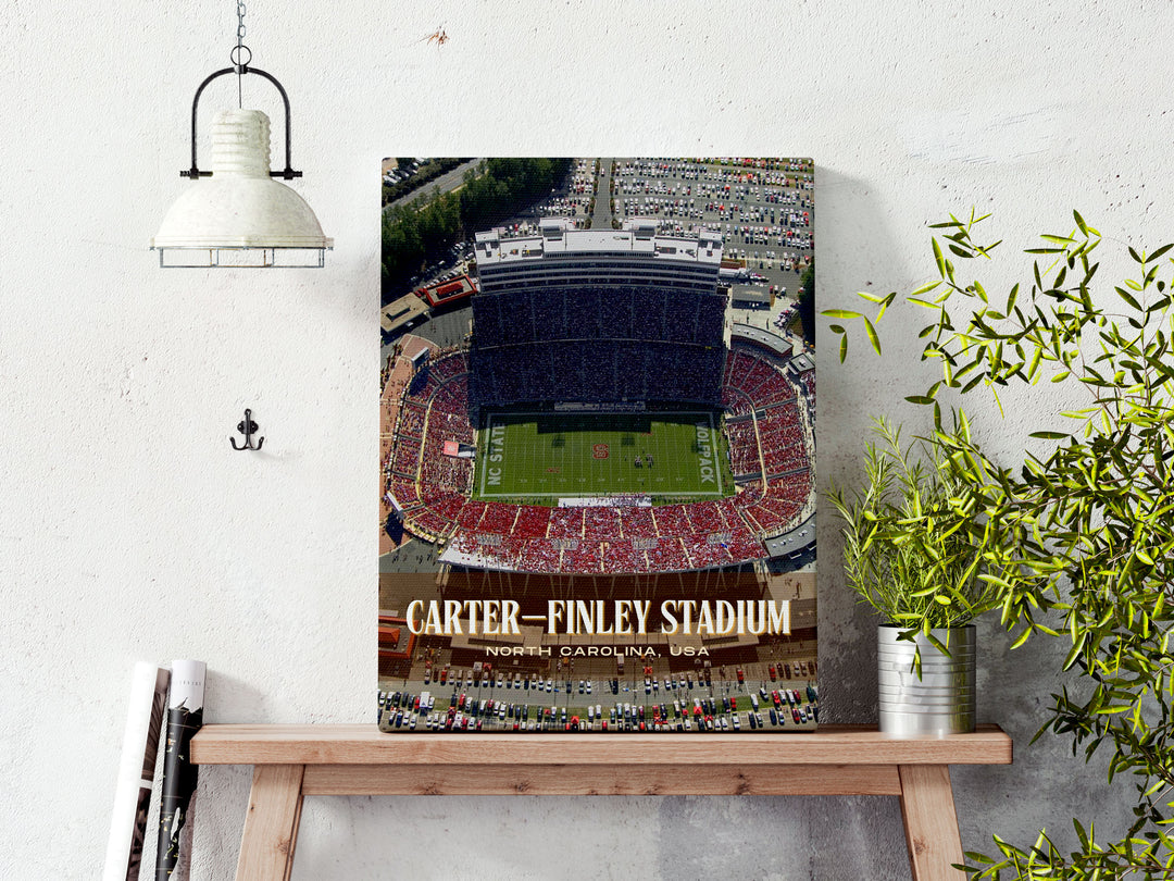 Carter–Finley Stadium Football Wall Art