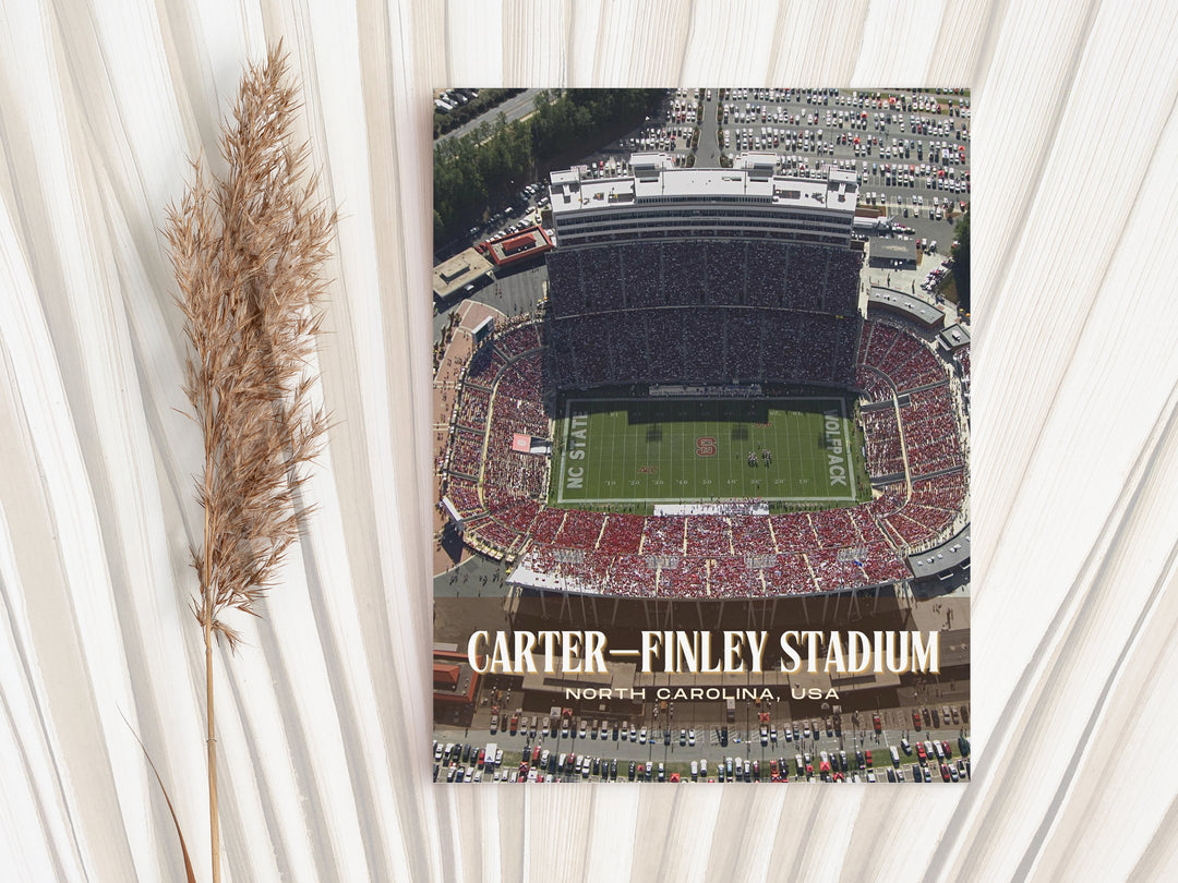 Carter–Finley Stadium Football Wall Art