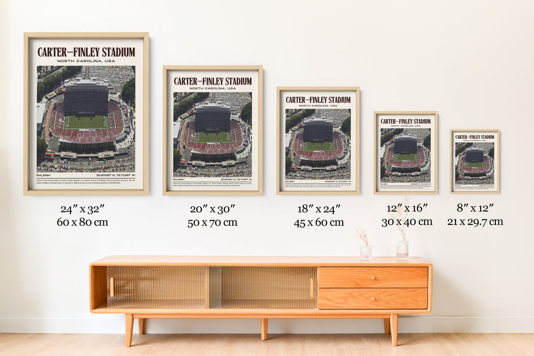 Carter–Finley Stadium Football Retro Wall Art