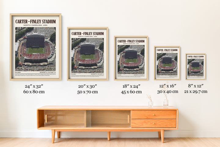 Carter–Finley Stadium Football Retro Wall Art