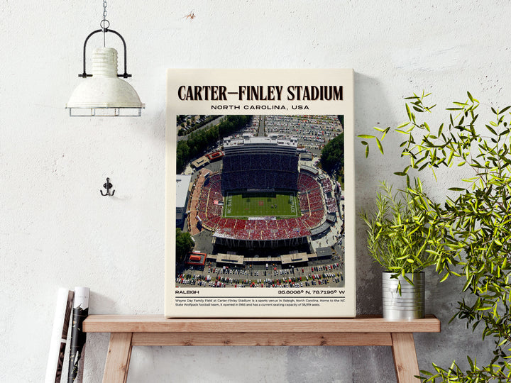 Carter–Finley Stadium Football Retro Wall Art