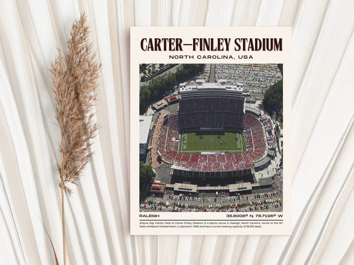 Carter–Finley Stadium Football Retro Wall Art