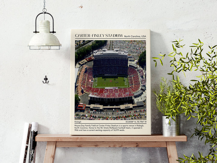 Carter–Finley Stadium Football Minimal Wall Art