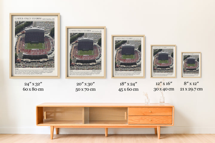 Carter–Finley Stadium Football Minimal Wall Art