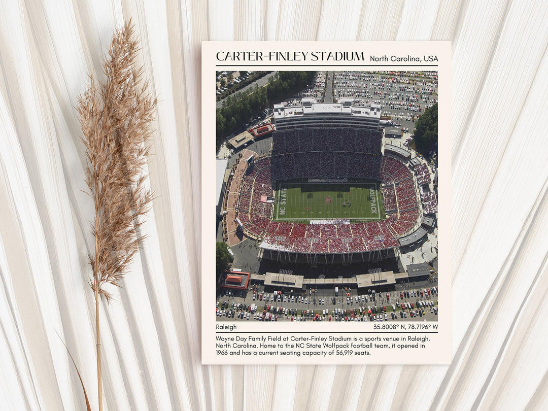 Carter–Finley Stadium Football Minimal Wall Art