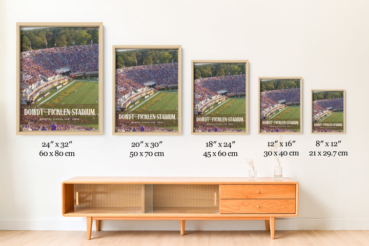 Dowdy–Ficklen Stadium Football Wall Art