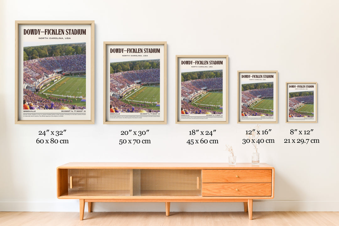 Dowdy–Ficklen Stadium Football Retro Wall Art