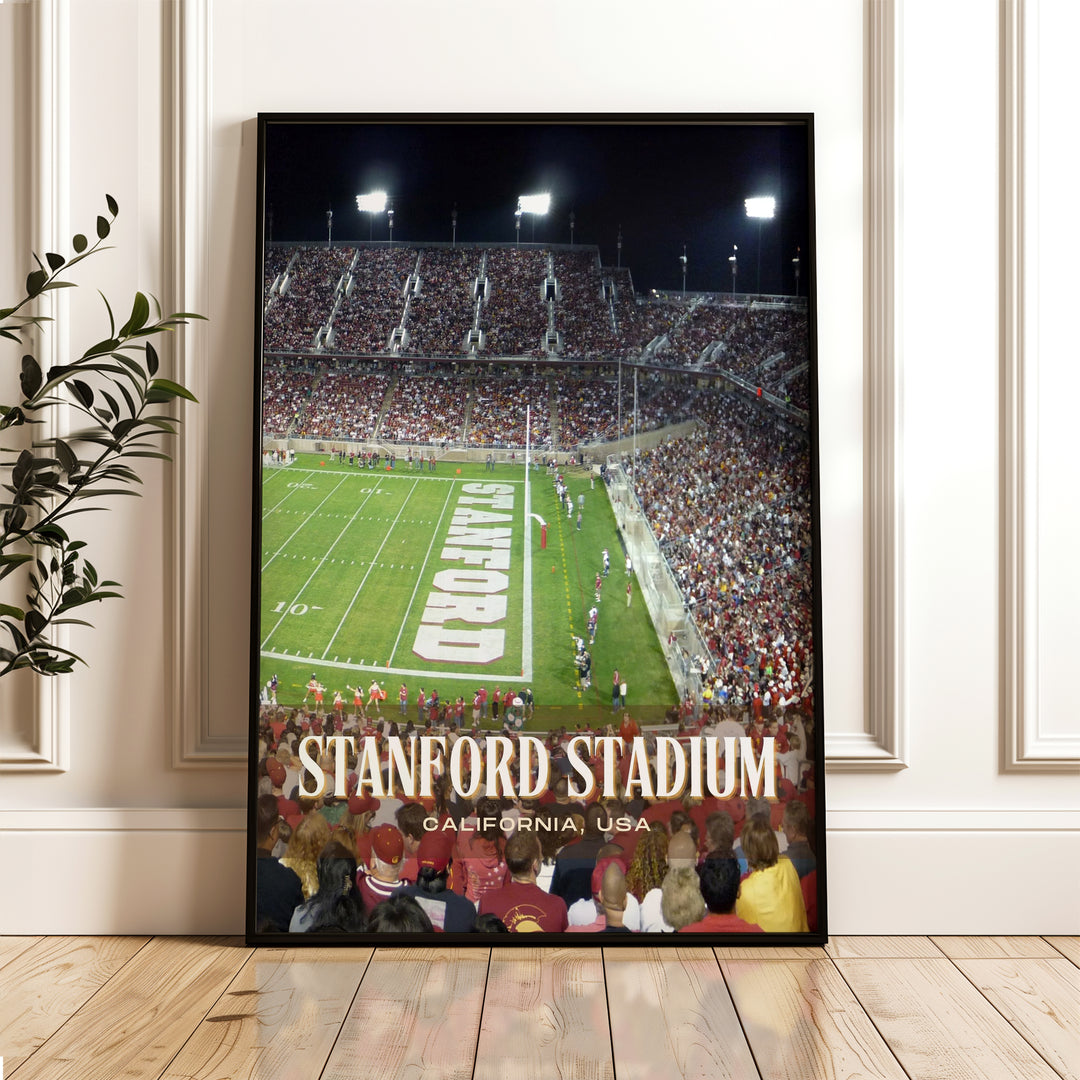 Stanford Stadium Football Wall Art