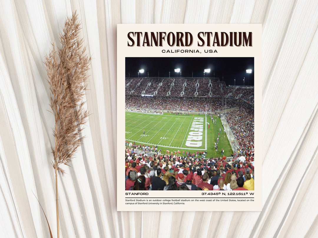 Stanford Stadium Football Retro Wall Art