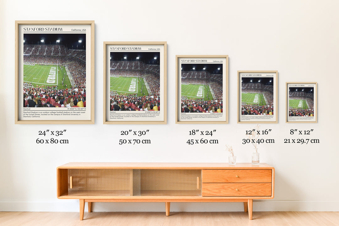 Stanford Stadium Football Minimal Wall Art