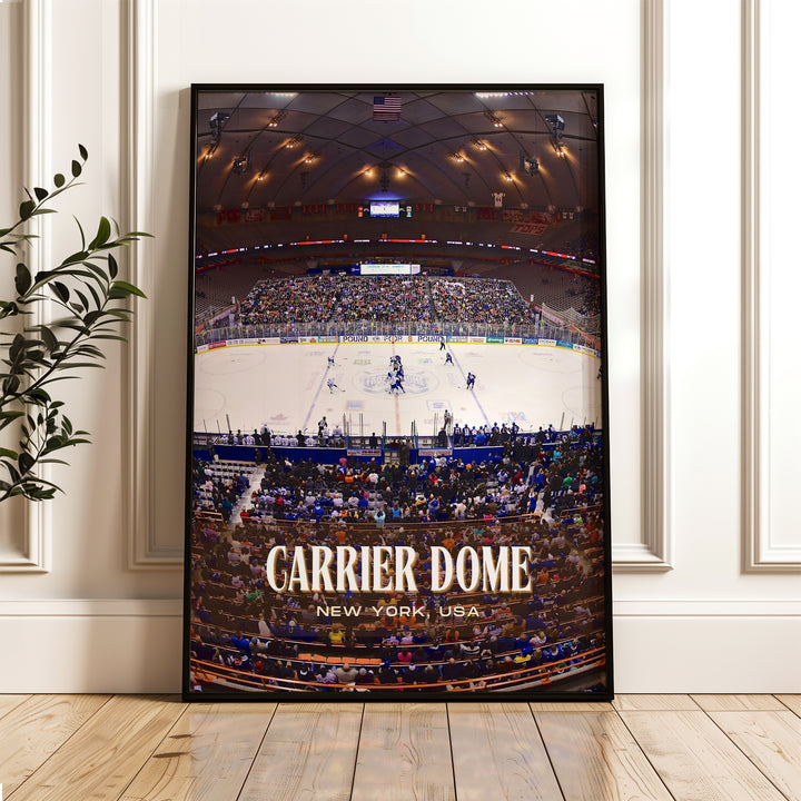 Carrier Dome Stadium Football Wall Art