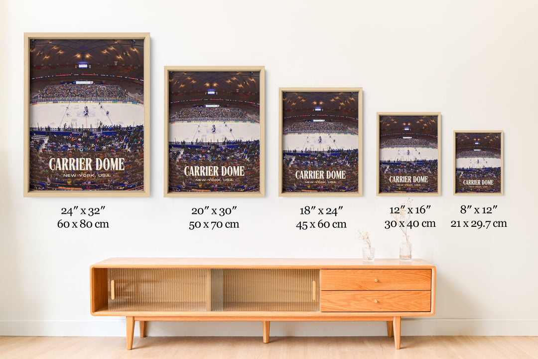 Carrier Dome Stadium Football Wall Art