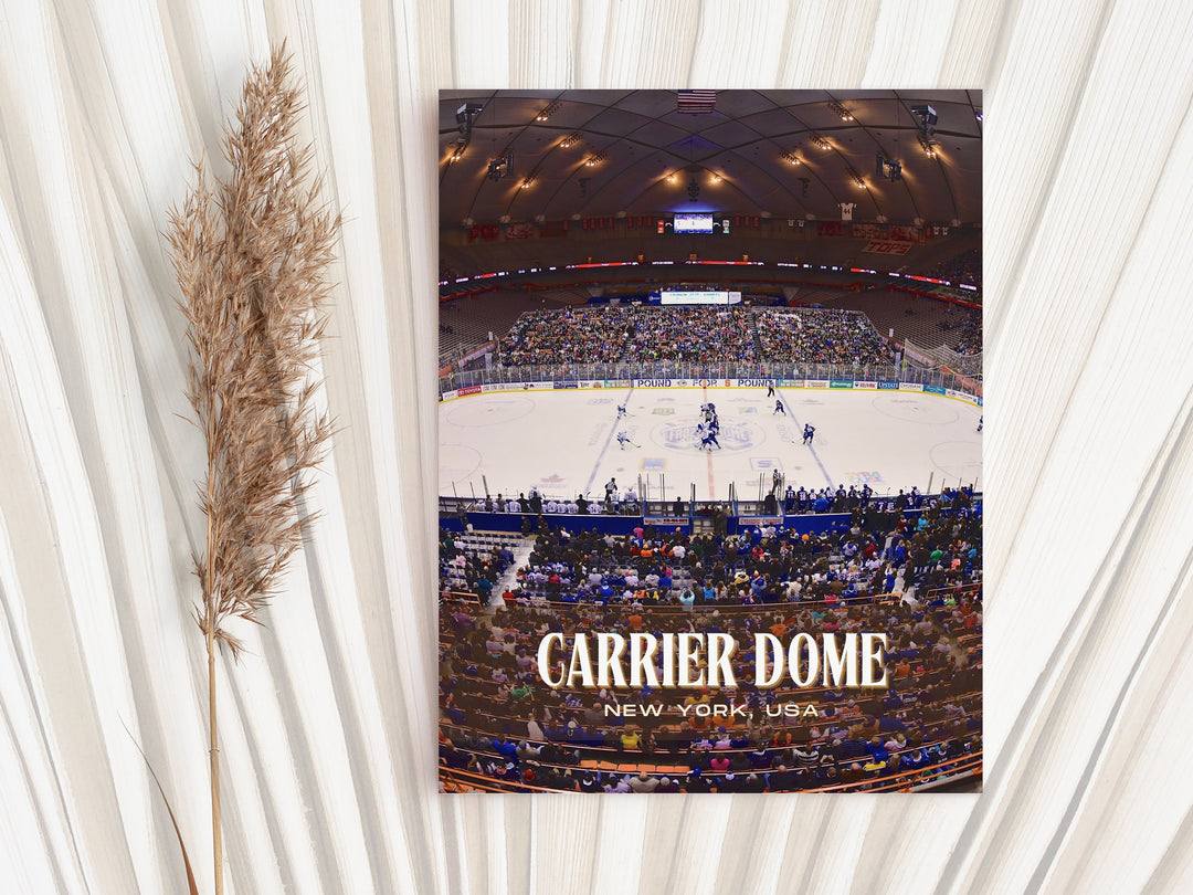 Carrier Dome Stadium Football Wall Art