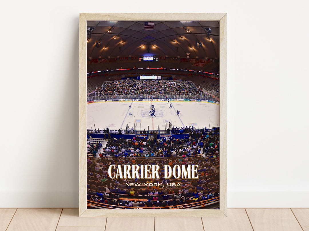 Carrier Dome Stadium Football Wall Art