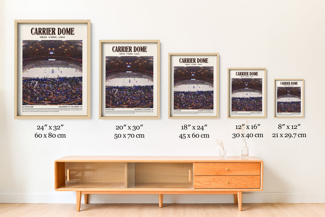 Carrier Dome Stadium Football Retro Wall Art