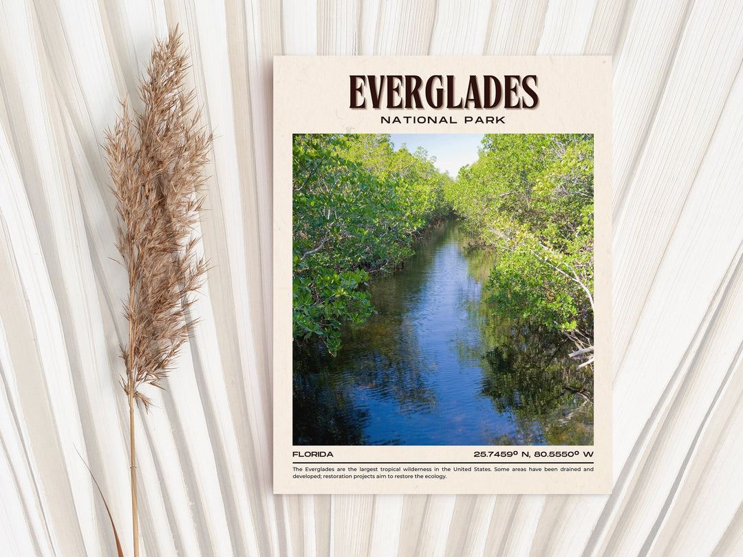 Everglades National Park Vintage Wall Art, Florida, USA