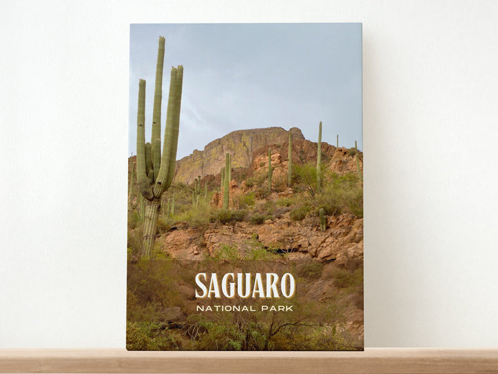 Saguaro National Park Retro Wall Art, Arizona, USA
