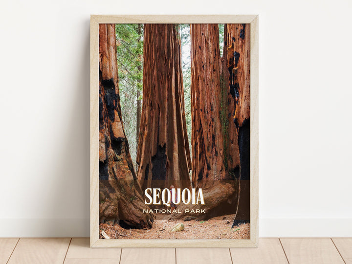 Sequoia National Park Retro Wall Art, California, USA