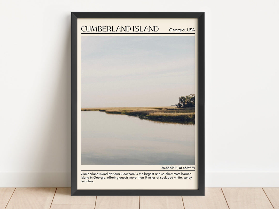 Cumberland Island Wall Canvas, USA